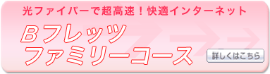 B�t���b�c�t�@�~���[�R�[�X